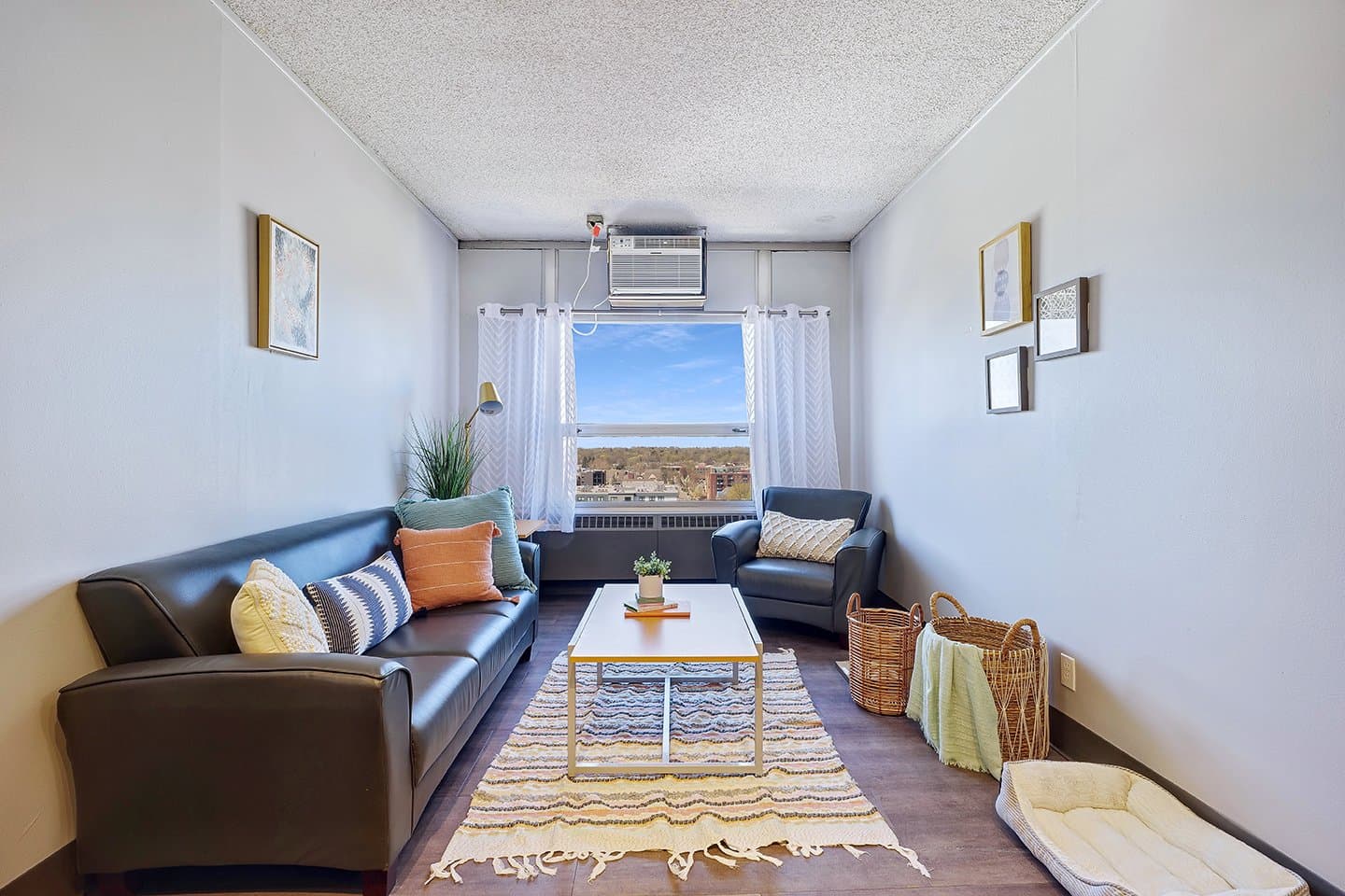 Living-Room-03-Illini-Tower-Champaign-04